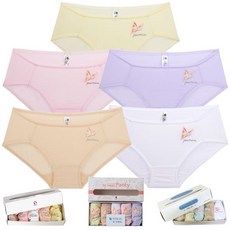 비너스순면팬티