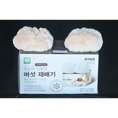 노루궁뎅이버섯재배기2.3Kg -오랜 전통의 버섯종균회사 삼구농원 노루궁뎅이버섯 재배기2개, 2개