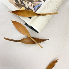 우드 오브제 팜패들 코코넛껍질 미니 드라이플라워 자연물 홈스타일링 인테리어소품 2size, S (B급)