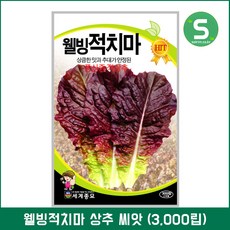 적치마상추씨앗 3000립 웰빙적치마 상추씨앗 상추씨, 단품