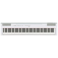 YAMAHAP-125aWH (화이트), 옵션1