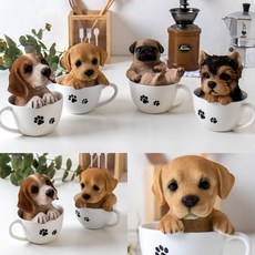 요크셔테리어피지동전