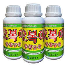 [비료컴퍼니] 오복이500ml 3병 유황규산 수용성 비료 유기농 친환경 병해충 예방 칼슘비료 탄저병 뿌리혹병 마늘 양파 배추 무 김장 비료