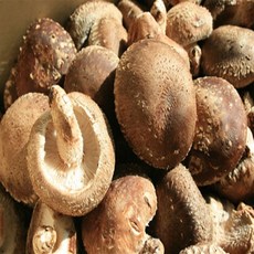 표고1번지 장흥 무농약 생 표고버섯 1kg, 1박스