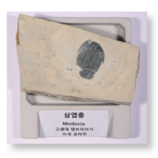 미성과학기기핫플레이트