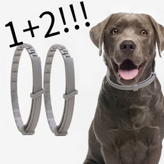 반려견 산책 필수템 강아지 고양이 모기 진드기 벌레 제거 퇴치체 목걸이 1+2 !!!!, 소형, 3개