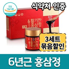 (3개묶음) 순 발효 홍삼 액기스 홍삼정 활기찬 면역 떠먹는 홍삼액 홍삼 진액 병