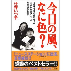 오늘의 바람 무엇 색상? - 맹인으로 태어난 우리 아이가 천재 소년 피아니스트로 불리는까지, 단일옵션, 단일옵션