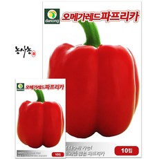 오메가 레드 빨간 파프리카 씨앗 주말 농장 텃밭 농사 종자 10립, 1개