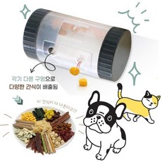 펫토스견체