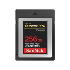 샌디스크 익스트림 프로 CFexpress 카드 Type B SDCFE 256GB