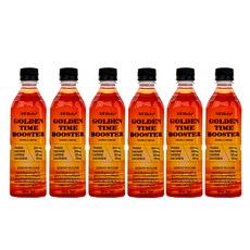올헬씨 골든타임 부스터 에너지 드링크, 6개, 500ml