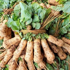 채소애 황토 알타리 알타리무 1단, 1개, 1kg 1단