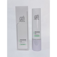 정샘물 스킨 세팅 톤 코렉팅 베이스 40ml, 1개