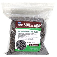 비앙코볼토