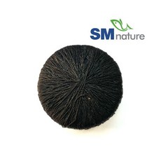 yula의자수화초처방전