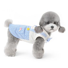 강아지명품 TOP01