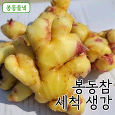 봉동들녘생강진액