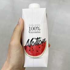 롯데마트수박