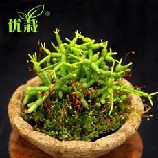 1b17b972815bb5c651d92ee5b9fb5d8b86ed2638b4a61afe6a96e5dc09d8.jpg