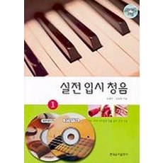 실용청음