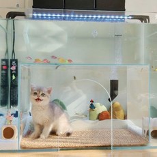 고양이 아쿠아리움 해파리키우기 하우스 물멍 물고기 수족관 인테리어 고양이물