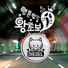 아트박스/제제데코 P_초보 영혼없는 왕초보 반사+주유구마네키네코 디젤B, 1개