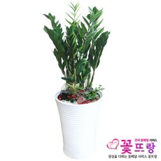 부산도자기만들기