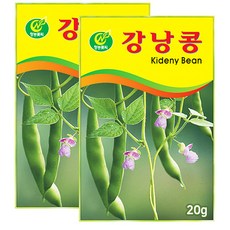 세인화분 강낭콩씨앗 20g 강낭콩 키우기 씨앗 씨, 2개 2개