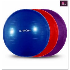 EB200 홈트레이닝용품 헬스 65cm 홈pt 운동요가볼 직장인운동 필라테스도구 방구석헬스장 온라인운동, 65cm 보라