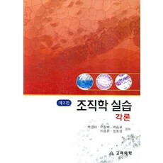 기초조직학