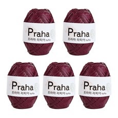 프라하라피아실