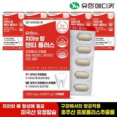 유한메디카 치아 엔 탑 덴티 플러스 60정x6개(12개월), 60정, 6개