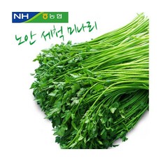 노안농협 친환경재배 세척미나리 1kg, ONE COLOR, ONE SIZE