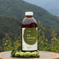 온테이블365 하동 매실향기 매실원액 1000ml 수제 매실청