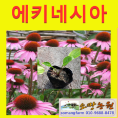 887b167ea5f94cbe30bdb414f7c226166b231b6d5a2b9899e65cb078d949.png