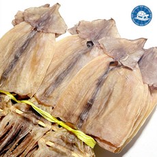동해안 건조 마른오징어 건오징어 건조오징어 (10마리) 400g/원양산오징어, 1개, 400g (10마리)