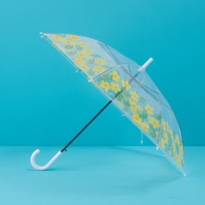 모던하우스우산