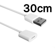 애플펜슬 1세대 USB 충전 케이블 30cm 짧은케이블 어댑터, 애플펜슬 충전 케이블, 1개