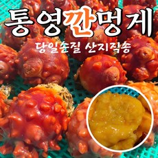 깐멍게