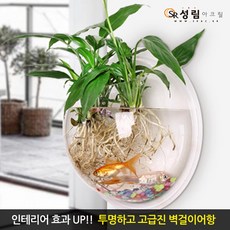 성림아크릴 벽걸이어항 원형 아크릴 수조 관상용 실내인테리어 구피키우기