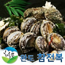 [하늘뜰]완도 참 전복 1kg(14-15미), 1개
