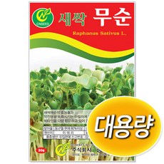 새싹무순 씨앗 500g, 1개