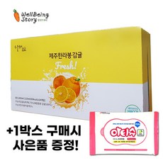 나무야제주감귤