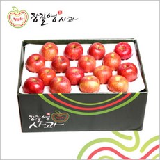 [장길영사과] 사과 특대과 10kg(27~32과), 단품