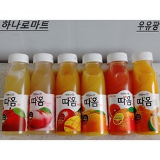 빙주기