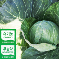 유기농 무농약 양배추 3kg 5kg, 1개
