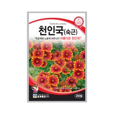 모칸도 (무배)세계 천인국(숙근) 꽃씨(200립), 01_80.천인국