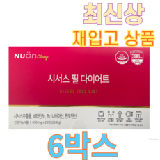 최신상 뉴온 시서스 필 이나영 다이어트 850mg 168정 24주분, 1개