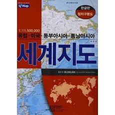 지도조종자문제